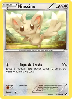 Minccino
