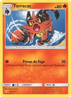 Torracat