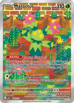 Maractus