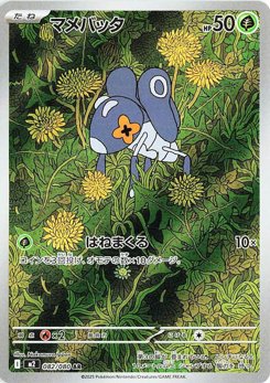マメバッタ