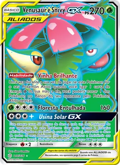 Venusaur e Snivy GX