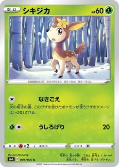 シキジカ