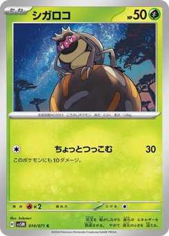 シガロコ